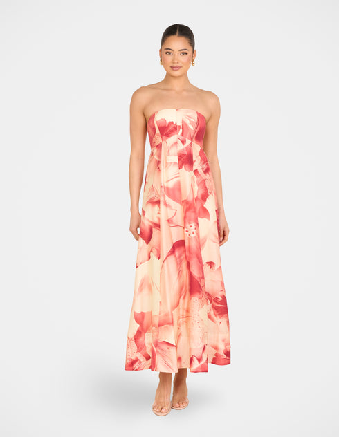 Arla Strapless Maxi Dress
